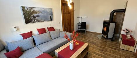 TV, fireplace, books