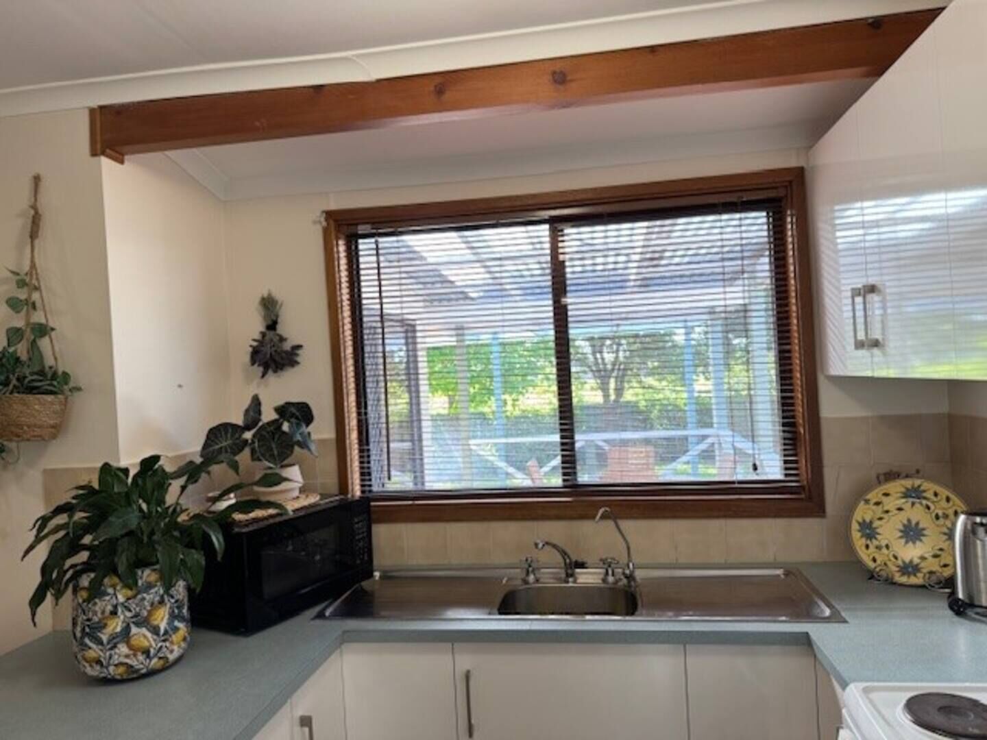 Microwave, oven, stovetop