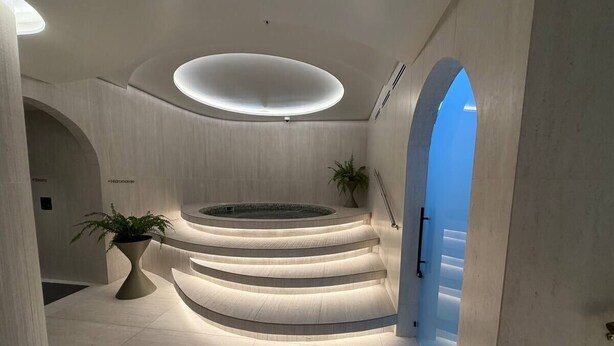 Un interior moderno con un elemento circular central, una escalera y una planta en maceta.