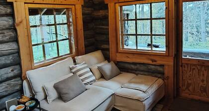 Luonto, gemütliches Blockhaus mit Auroraskylight