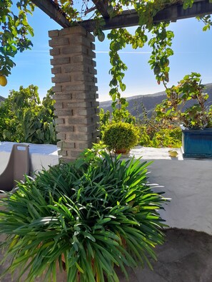 Property grounds - Casa Rural el Palmito with private pool (Valsequillo)