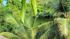 A wooden deck with a metal railing, surrounded by lush green palm trees. - Villa Clémentine (Le Diamant)