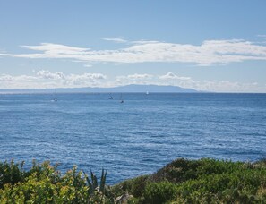 Cabane | Vue depuis l’hébergement