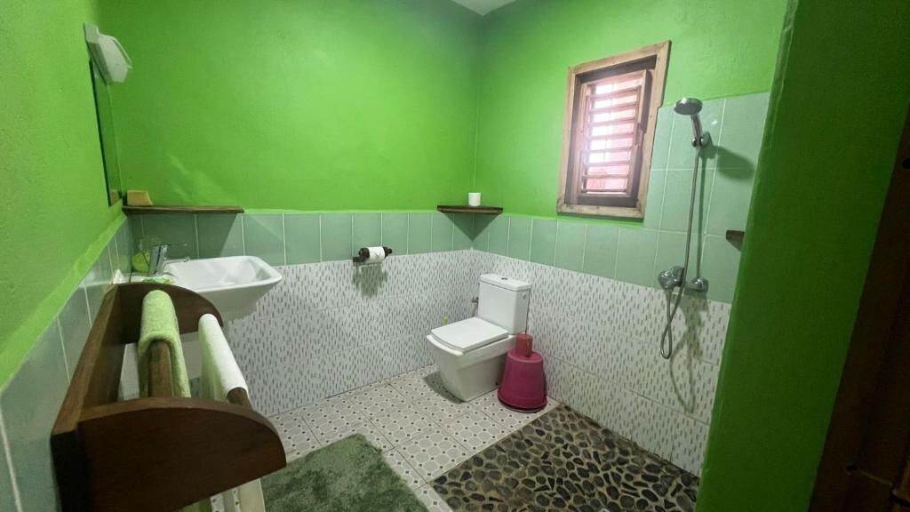 Ducha, toallas, jabón y papel higiénico