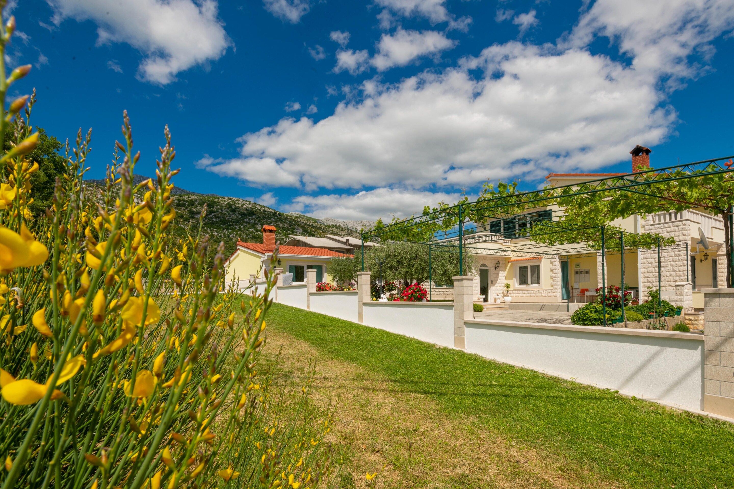 A residential area with houses, a grassy slope, and flowering plants.