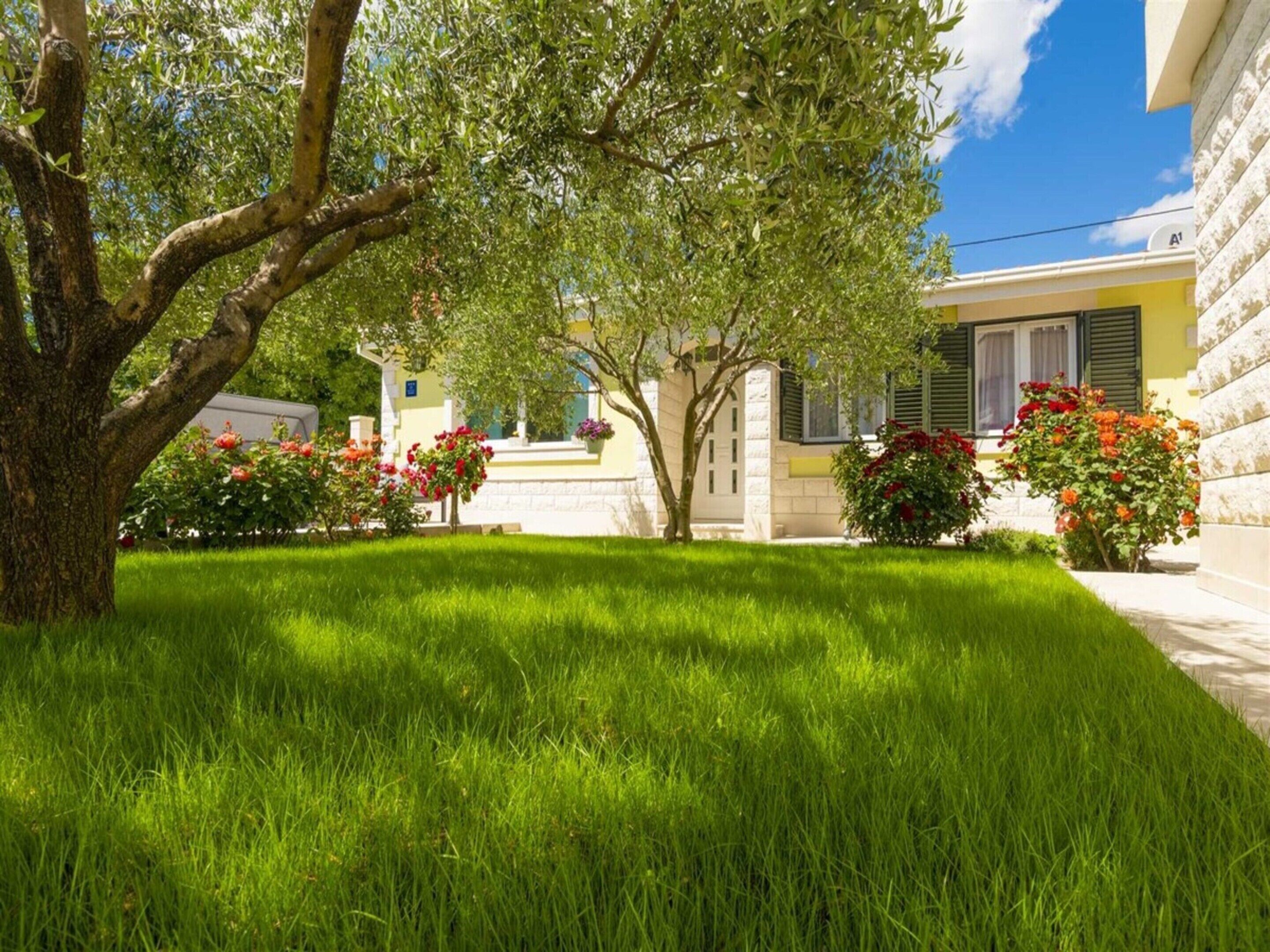 Casa | Jardín