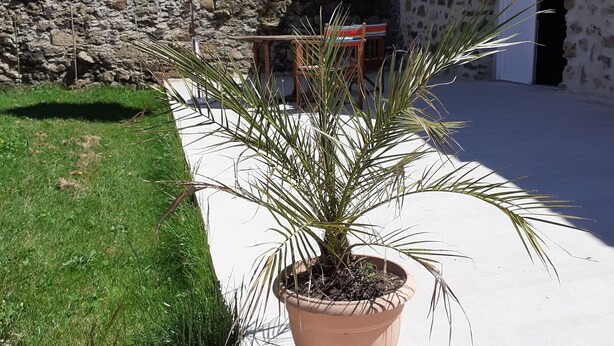 Terrasse/gårdhave