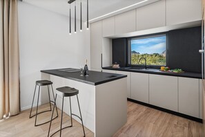 Fridge, microwave, oven, dishwasher - Stylish 4-Bedroom Villa Agrosa with 30 m2 Private Pool, Hydromassage, Finnish Sauna and Fun zone (Srinjine)