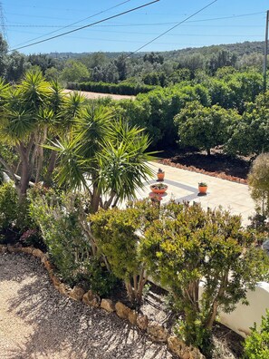 Áreas de la propiedad