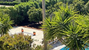 A pool area with a tiled deck, surrounded by various plants and trees. - Quiet Hideaway with Heated Pool (Algoz)
