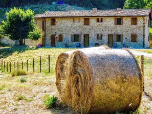 Exterior - 2 villas in adjoining fields - sleep 50 with infinity pool + fantastic views (Bazzano Superiore)