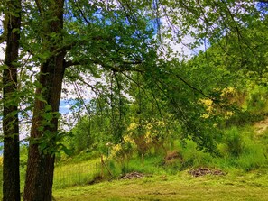 المنطقة المحيطة بالمنشأة