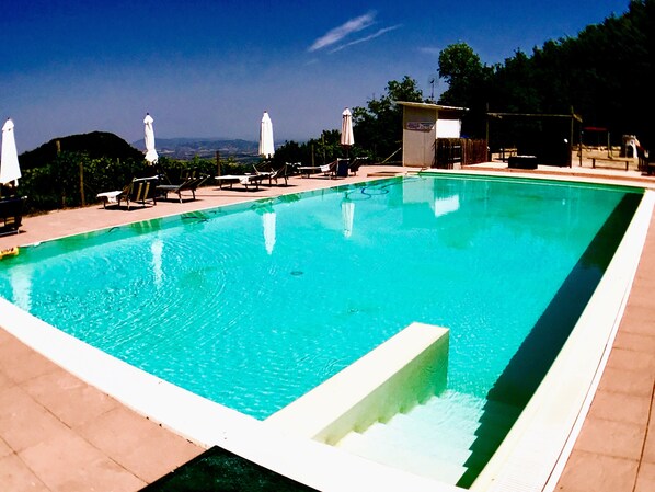 A rectangular swimming pool with clear blue water, surrounded by lounge chairs and umbrellas, set against a backdrop of trees and hills.