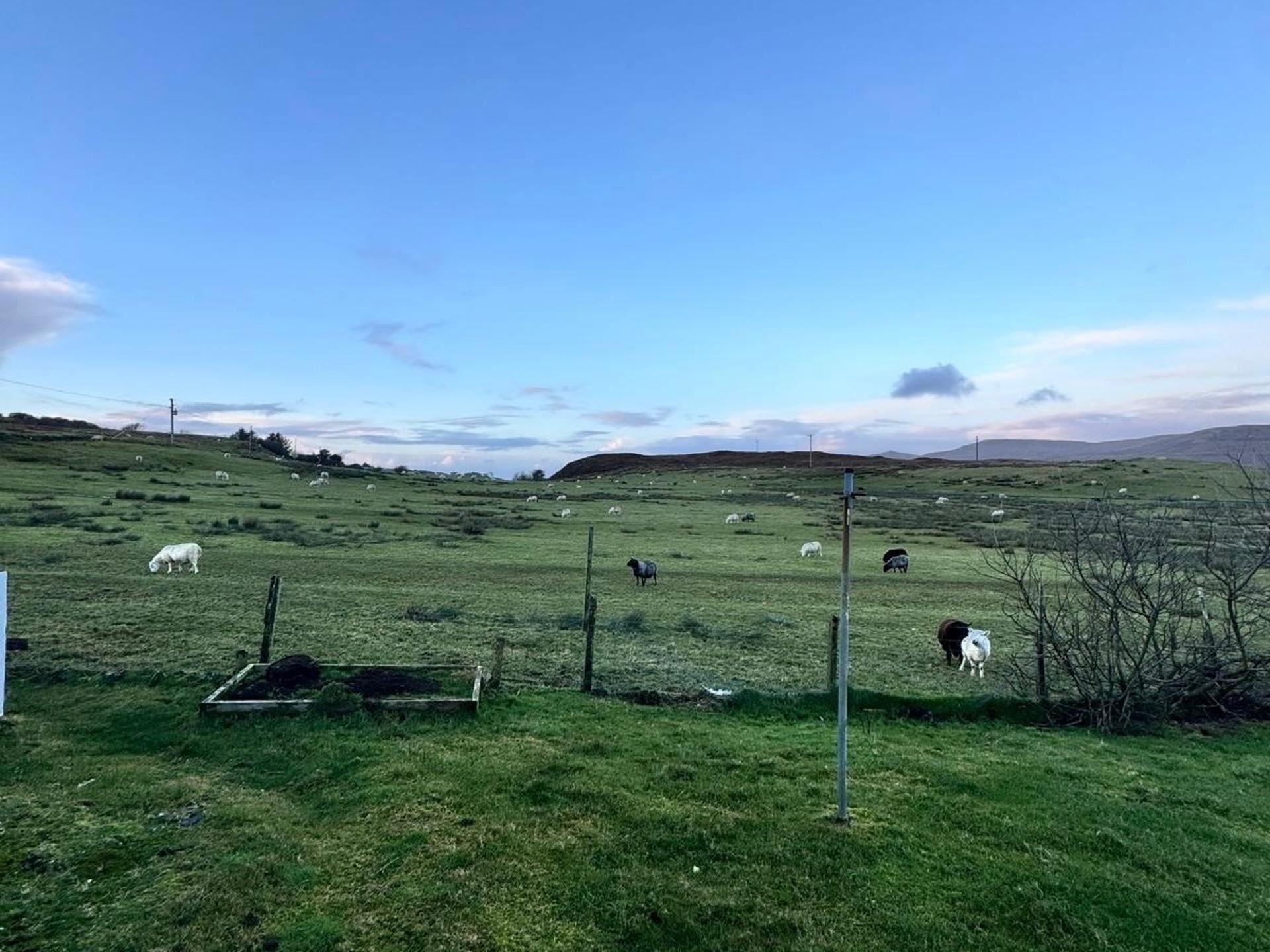 Paisagem rural com um campo gramado, algumas árvores esparsas e um céu limpo.