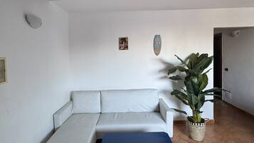 Televisie