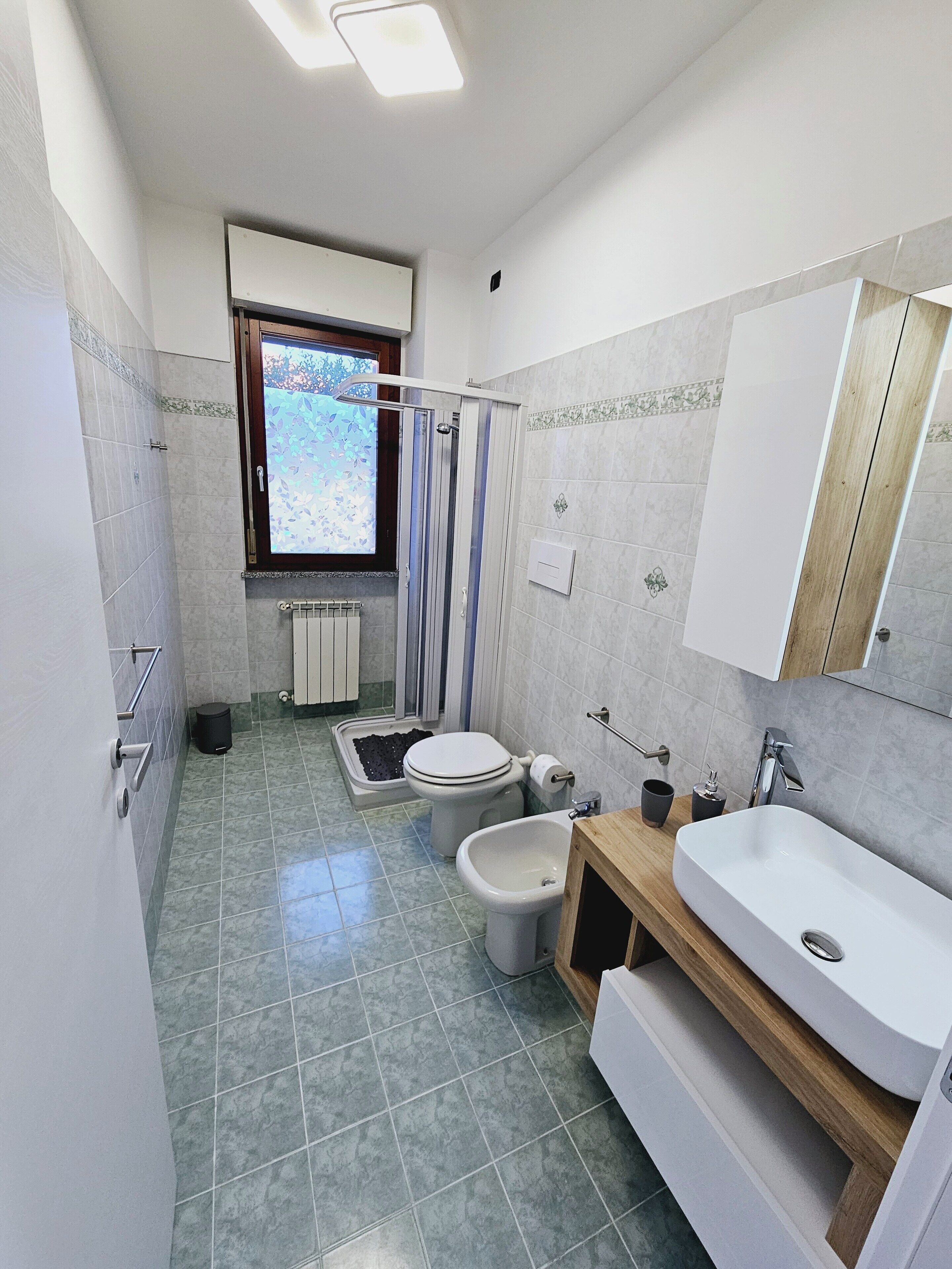 Shower, hair dryer, bidet, towels