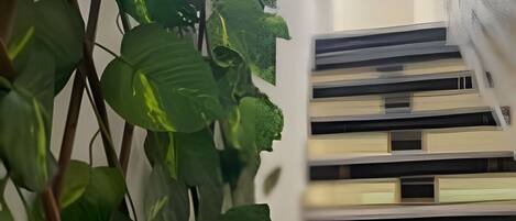 A staircase with a plant in the foreground.