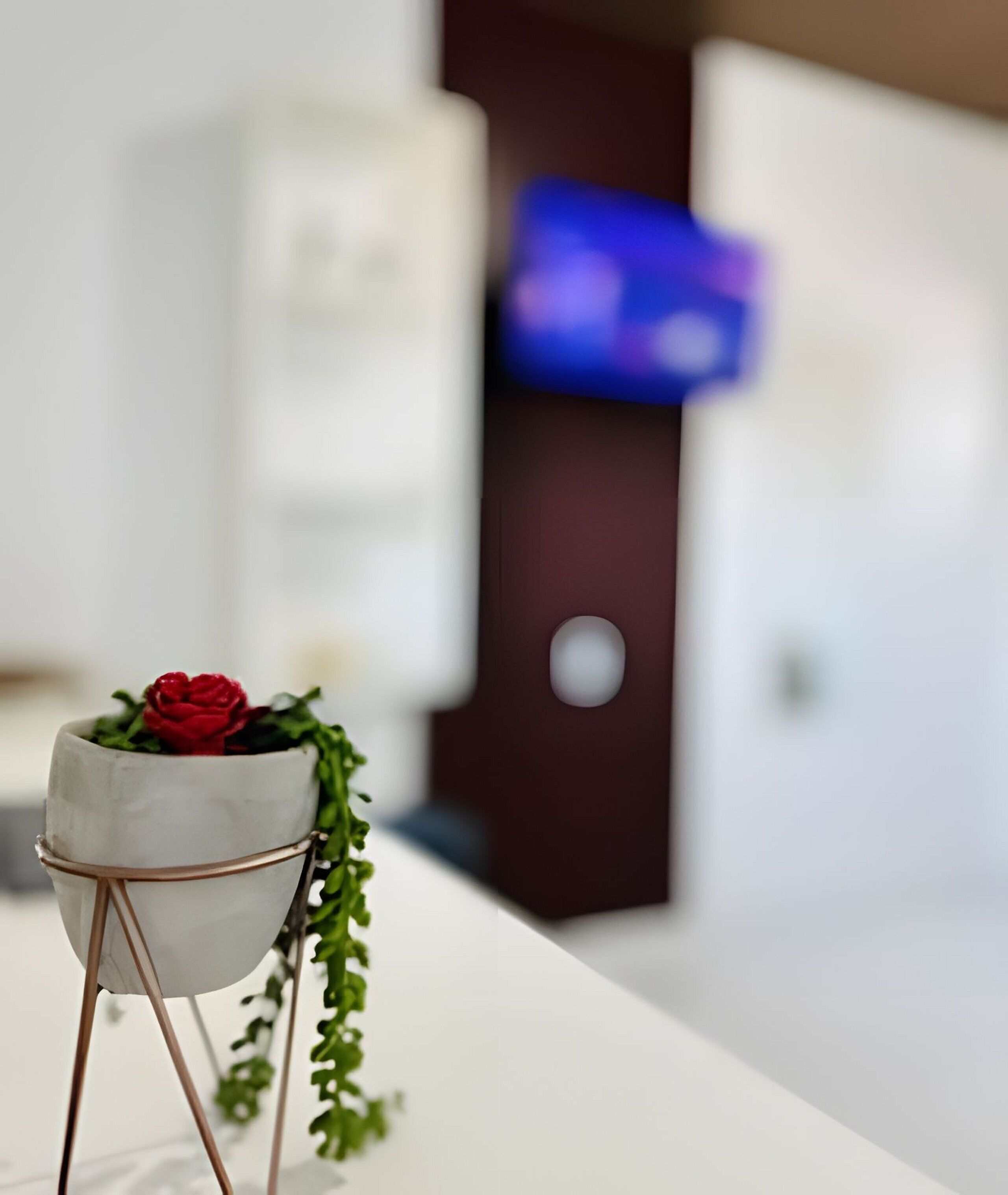 A white potted plant with a red flower on a white table in a modern room with a blurred background.
