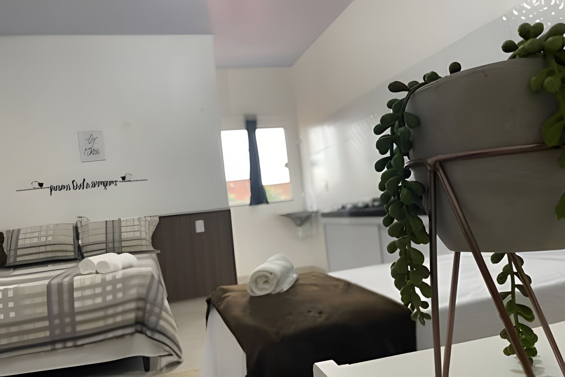 A hotel room with a bed, a small table, and a plant.
