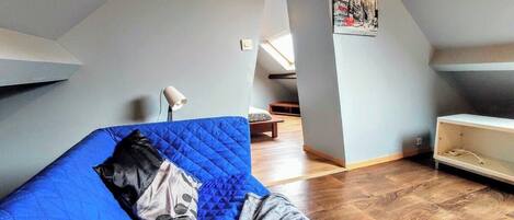 Fernseher, Arbeitsbereiche