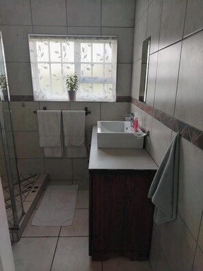 Regadera, toallas, papel de baño 