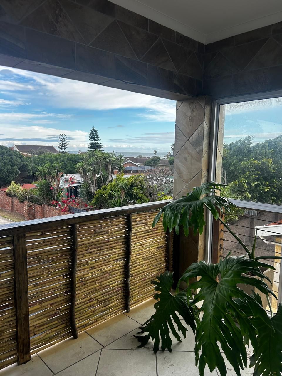 A balcony with a view of a residential area, a large plant, and a bamboo fence.