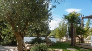 Un jardí amb una bassa, roques i diversos arbres.