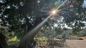 A tree with a bird feeder, a picnic table, and a gravel ground. - Luxury Holiday Home nearby the Beach with Pool (Càlig)