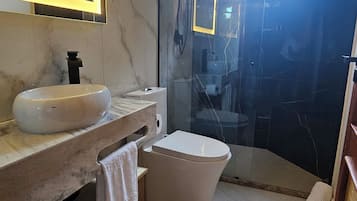 Shower, hair dryer, bidet, towels