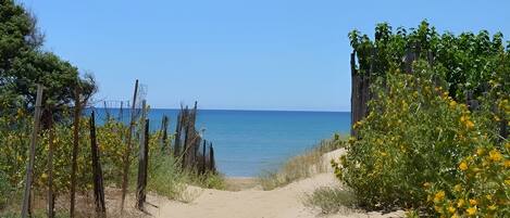 Playa