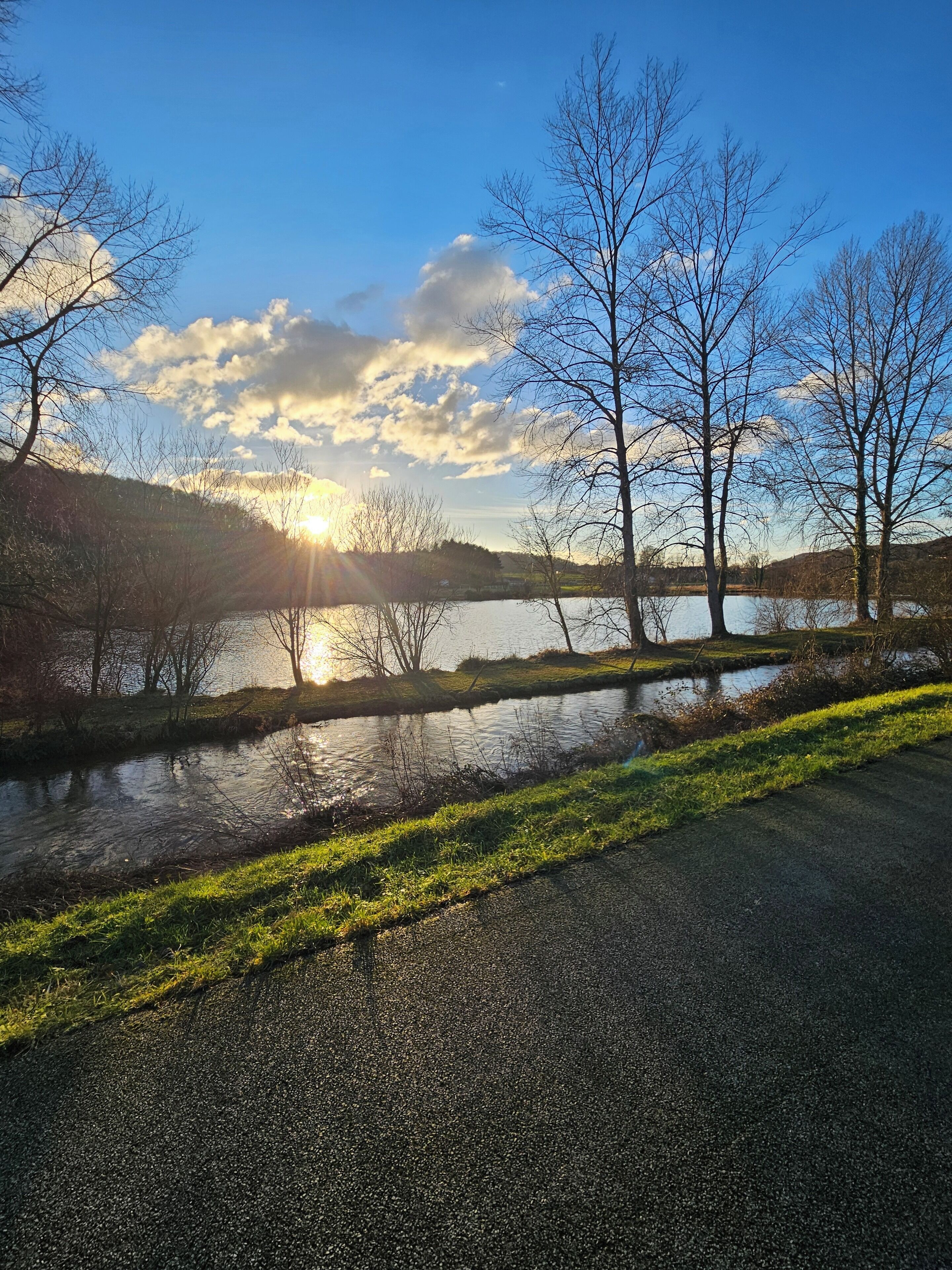 A paved path beside a calm lake with trees and a clear sky.