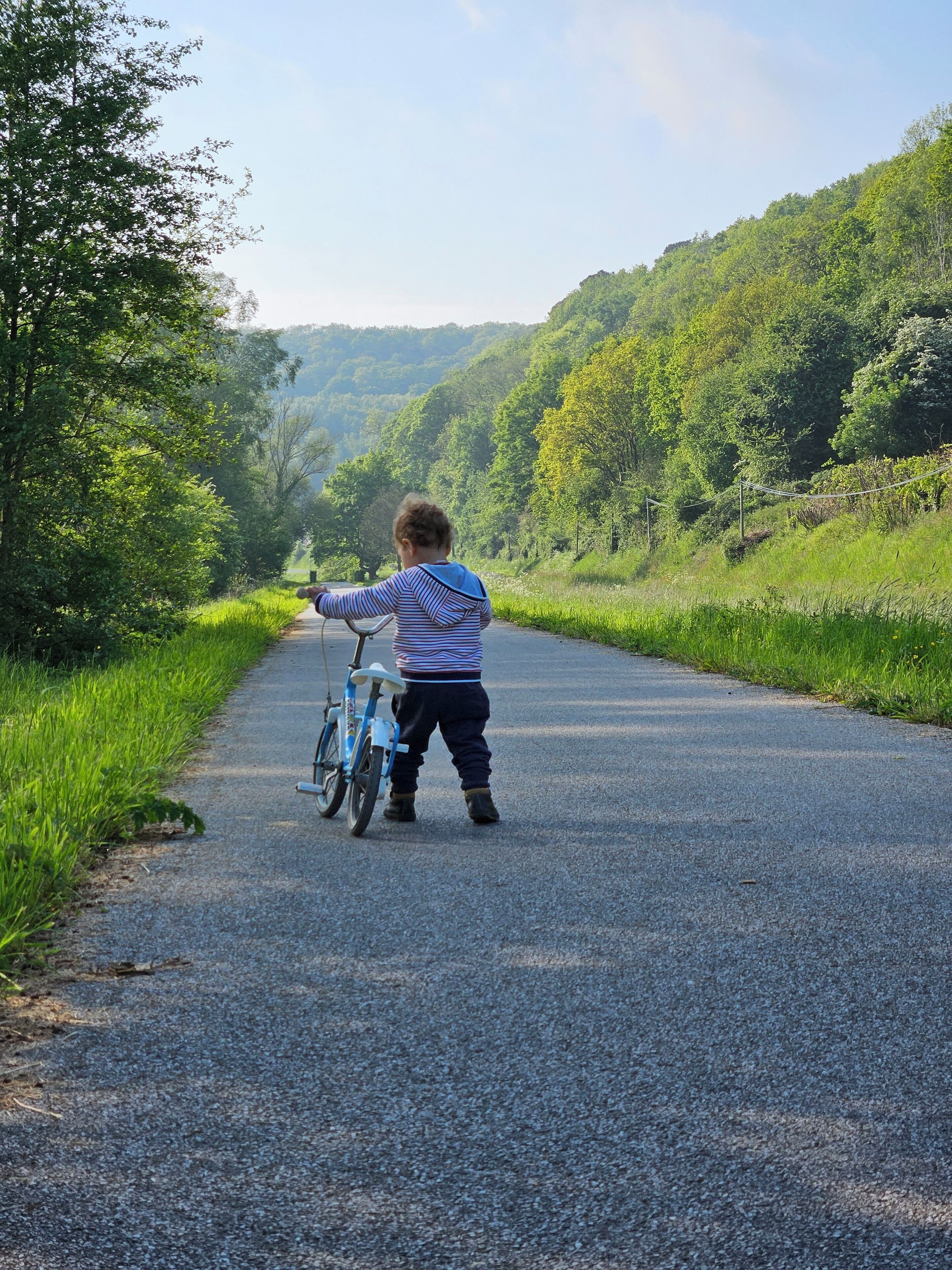 Un bambino che va in bicicletta su una strada asfaltata, circondato da una vegetazione rigogliosa e colline.