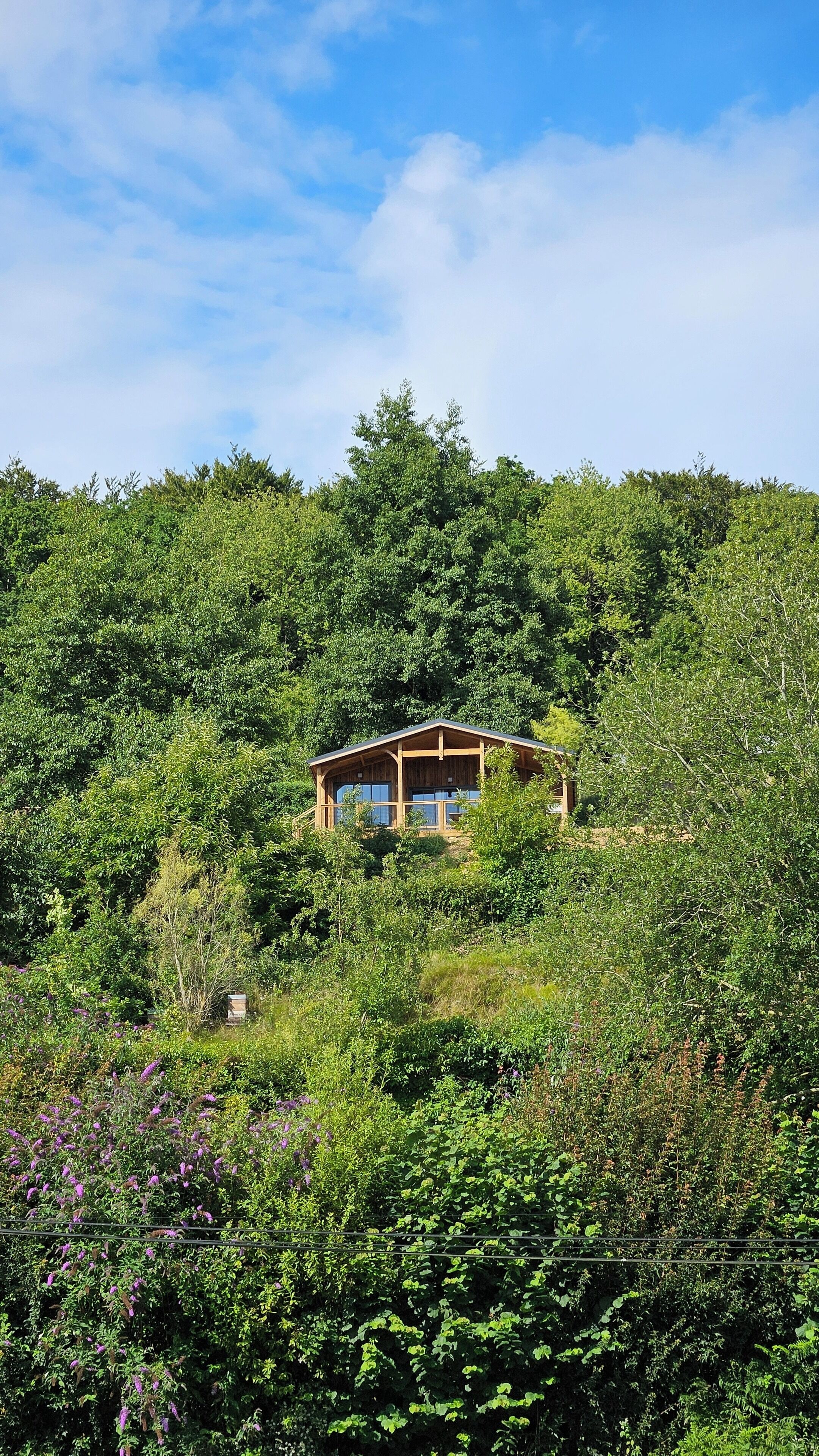 Una baita di legno su una collina, immersa nel verde.