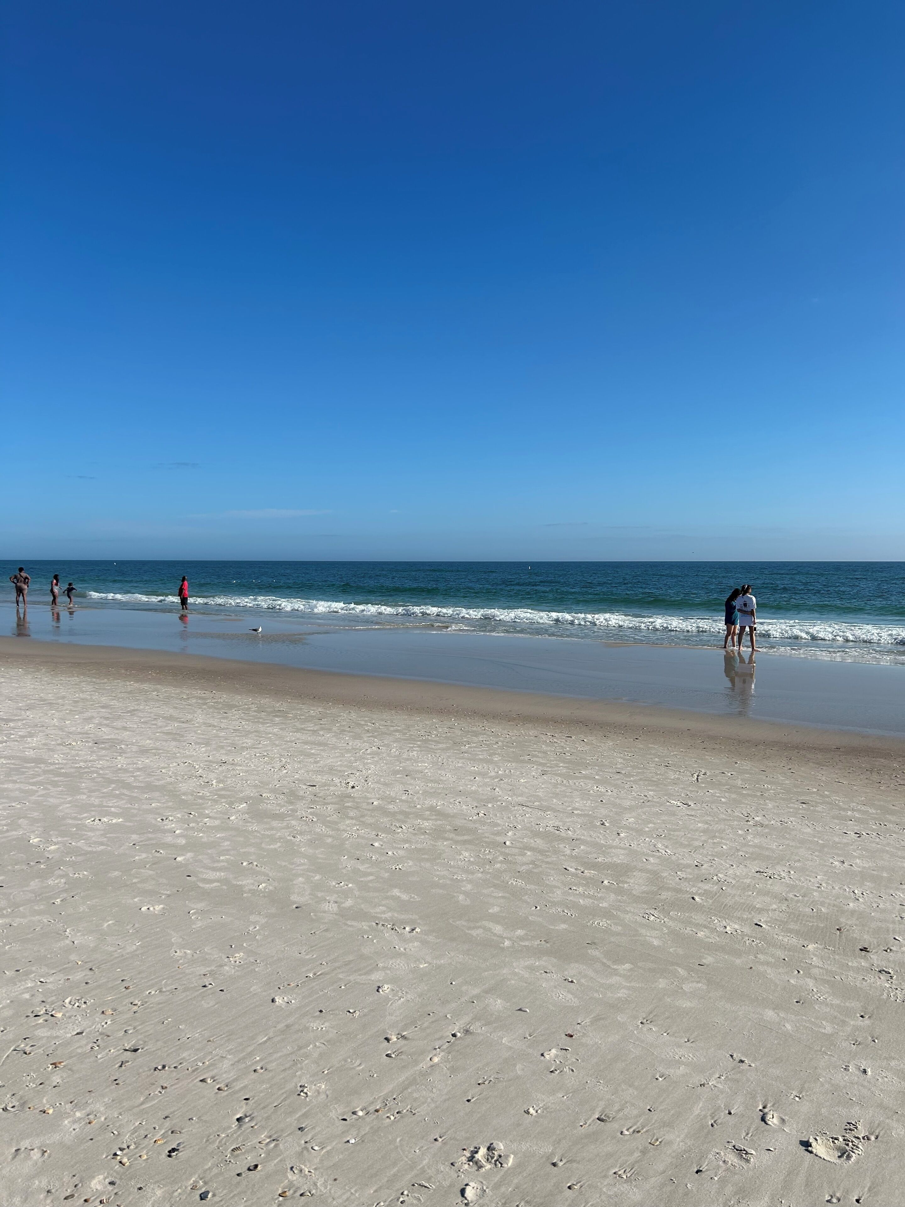 Chaises longues, serviettes de plage