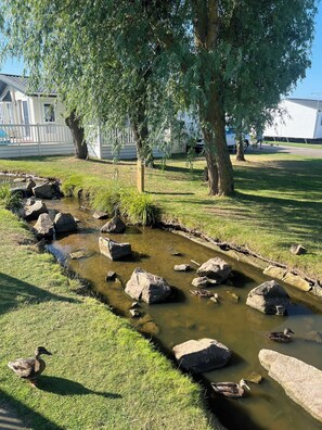 Property grounds - DJD ,Country Style Luxury Lodge, Manor Park Sleeps 4 (Hunstanton)