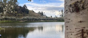 REFUGIO, A COZY PLACE TO UNPLUG FROM THE CITY