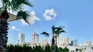 Eine Stadtansicht mit modernen Gebäuden, blauem Himmel und einer Rasenfläche mit einer Palme.