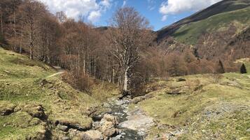 A mountainous landscape with a stream, trees, and a clear sky.