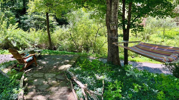 Un hamac est suspendu entre deux arbres dans une zone boisée, avec un banc en bois et une petite table à proximité.