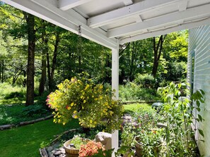 Àrea exterior de l'allotjament