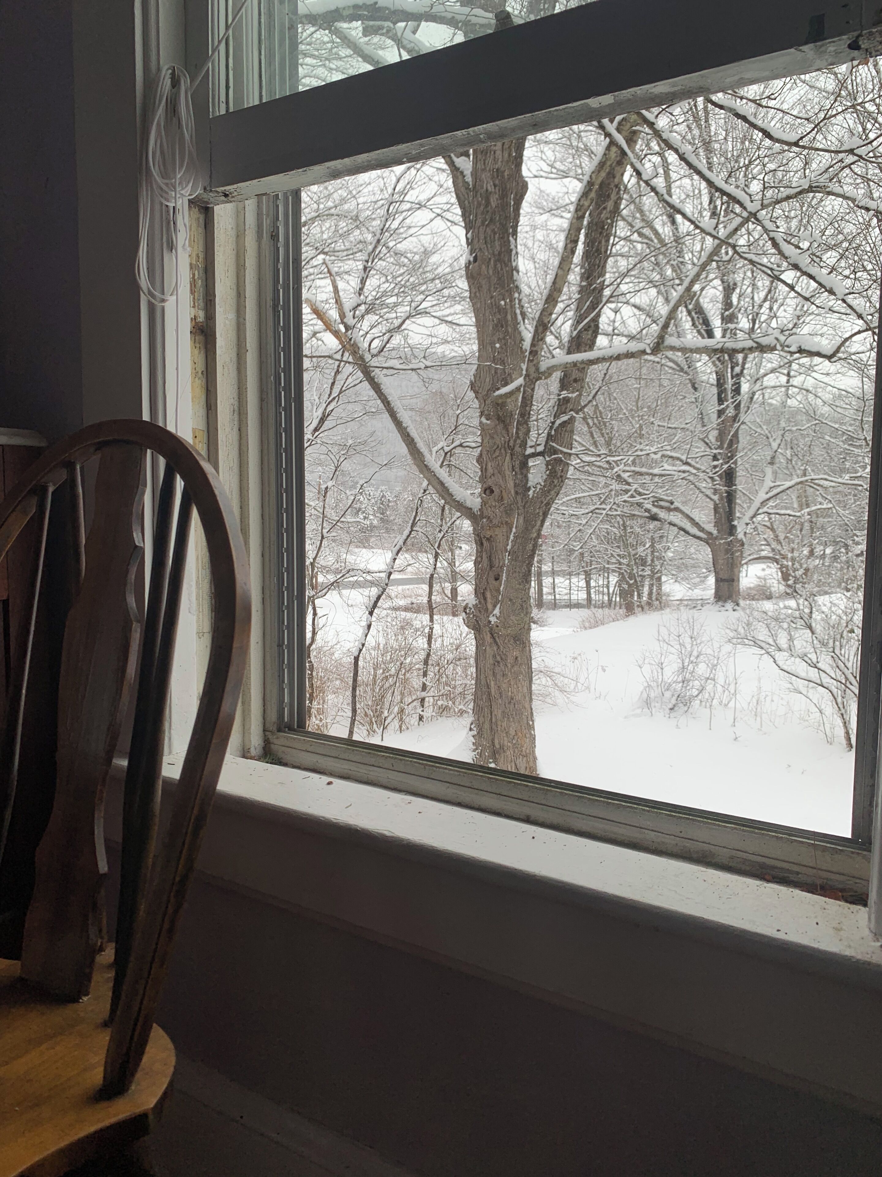 A window with a view of a snow-covered landscape and bare trees.