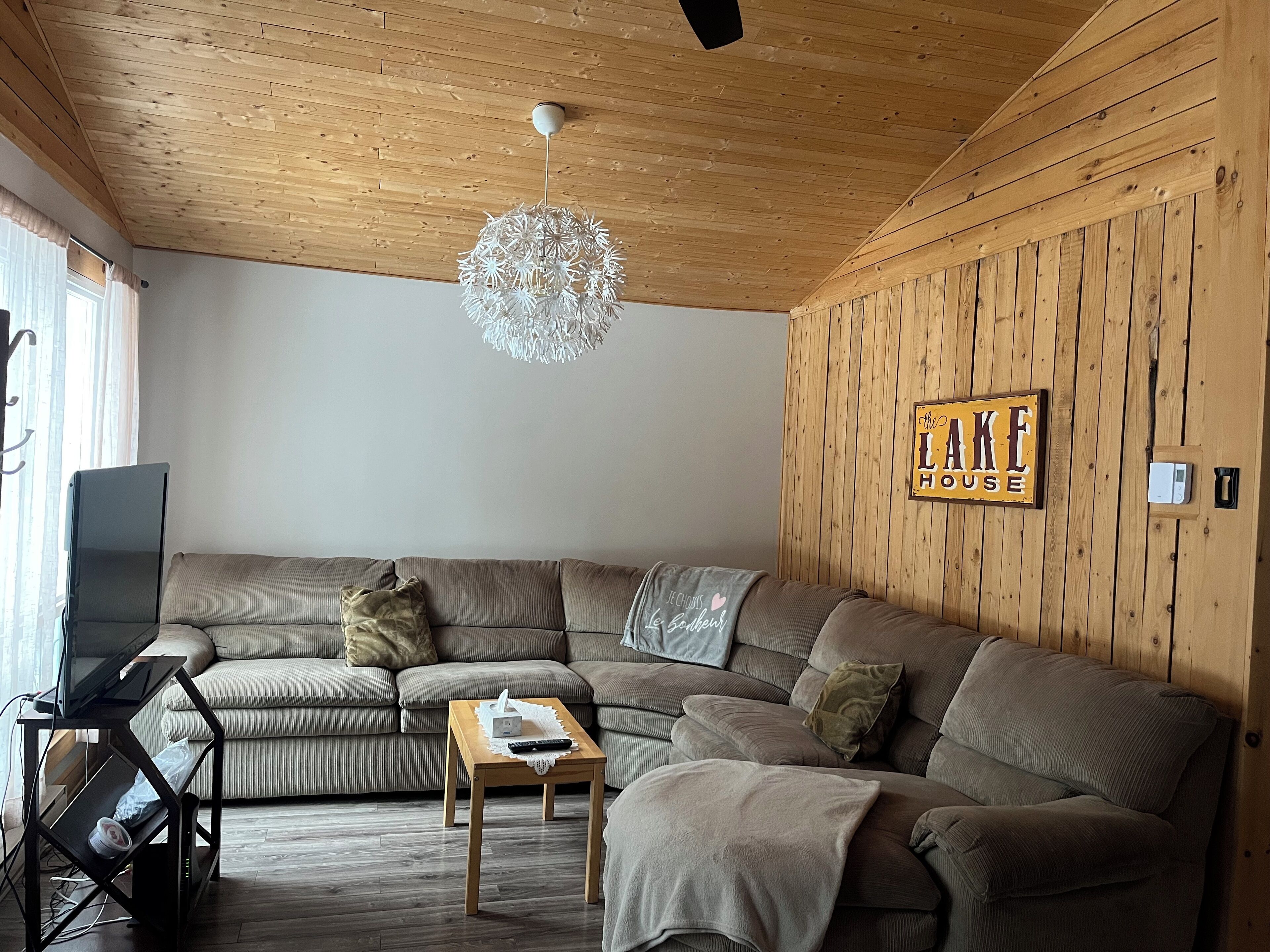 Smart TV, fireplace, books