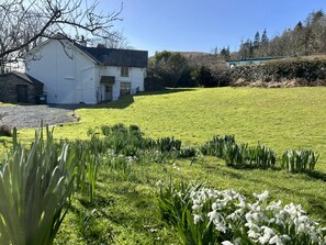 Property grounds - Scarr Head Cottage, a beautiful, detached stone cottage for 5 guests in an idyllic Lake District set (Coniston)