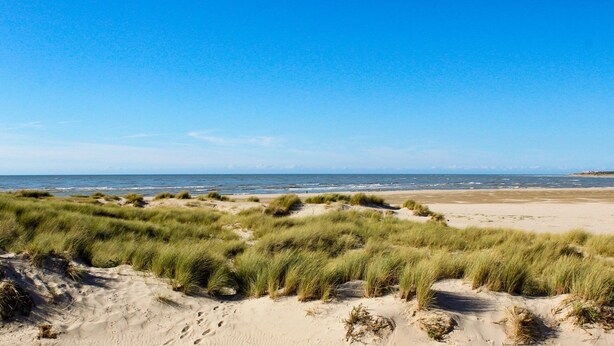 Unclassified image, 1 of 12, button - 33m2 apartment in the heart of the dunes, 5 minutes from the beach (Le Touquet)