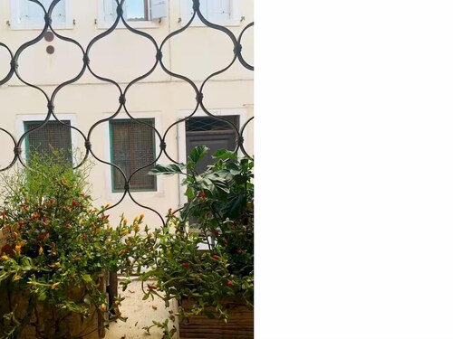 La Colonnina - in the heart of Venice, in a central and convenient district
