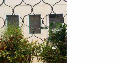 La Colonnina - in the heart of Venice, in a central and convenient district