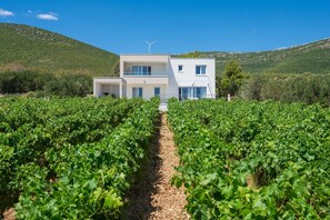 A modern two-story building with a wind turbine, surrounded by rows of grapevines. - Charming Seaside Villa Getaway (Kastela)