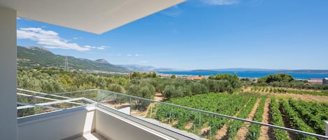 Villa | Vista desde la propiedad