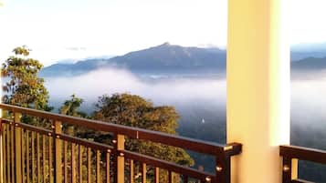 Vista desde la propiedad