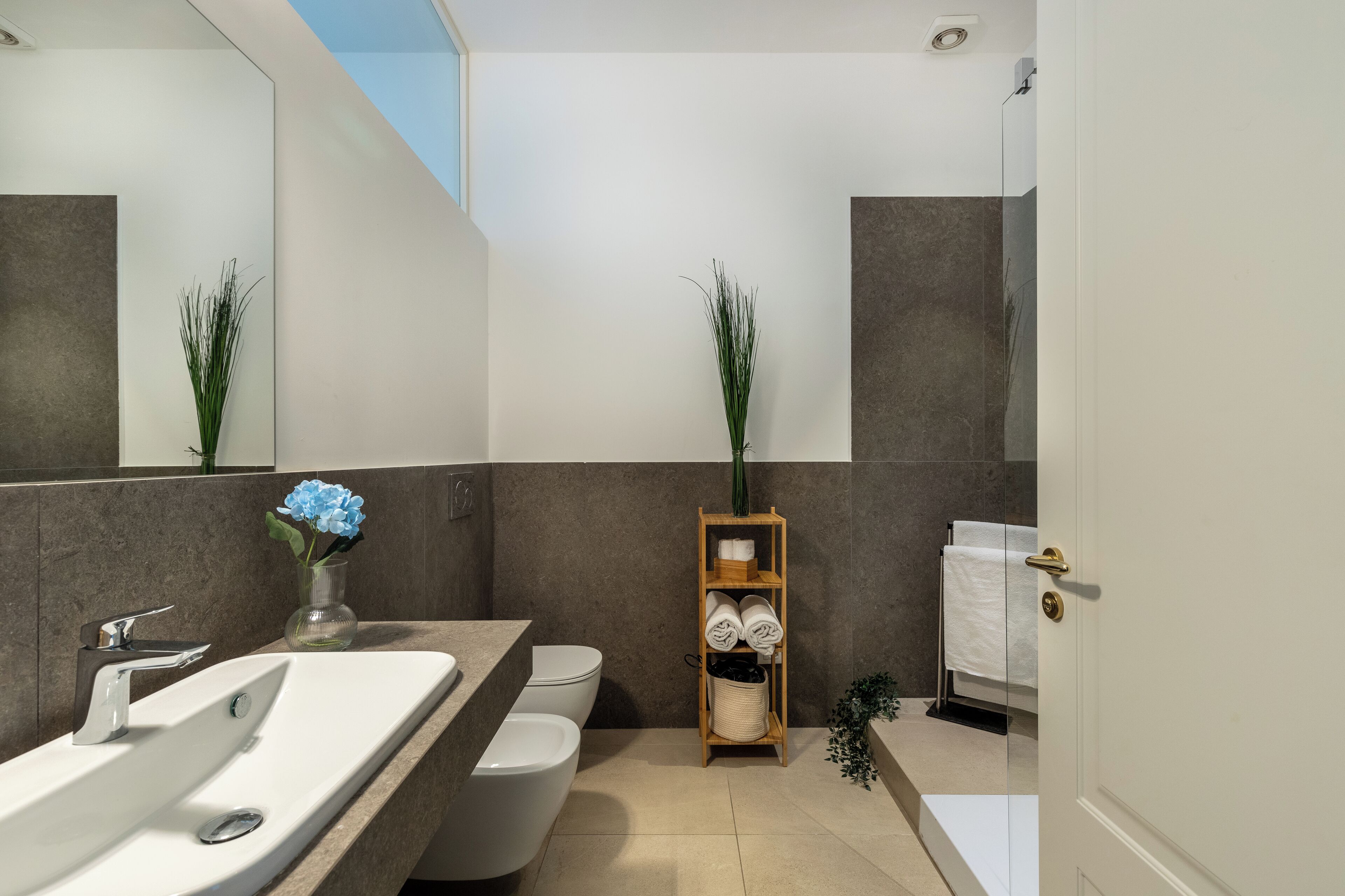 Shower, hair dryer, bidet, towels